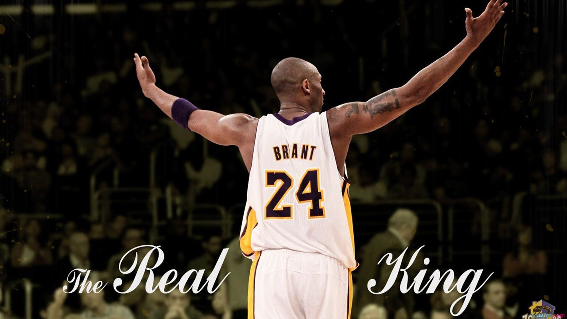 奇才破冰东北虎，西亚卡姆关键一击定江山